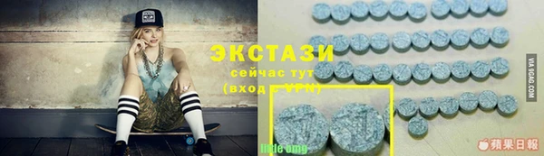 сатива Корсаков