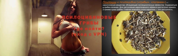 шишки Кулебаки
