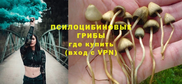 apvp Краснотурьинск