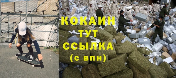 шишки Кулебаки