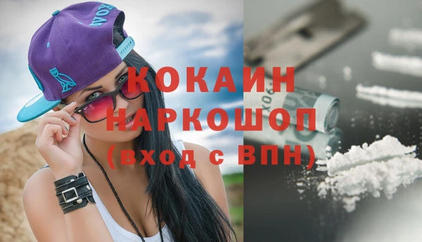 шишки Кулебаки